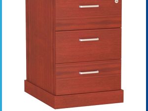 Hộc tủ Hòa Phát HP5INFO M3DVM2