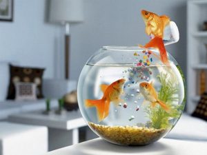 bể cá phong thủy bàn làm việc