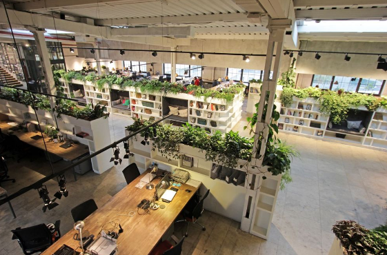 200+ mẫu thiết kế văn phòng xanh tiện nghi và hiện đại