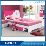 Giường ngủ trẻ em Hòa Phát HP5INFO GNE02-15