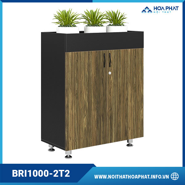 Tủ gỗ Hòa Phát HP5INFO BRI1000-2T2