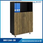 Tủ gỗ Hòa Phát HP5INFO BRI1260-2B