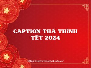 hp5info - cap thả thính tết 2024