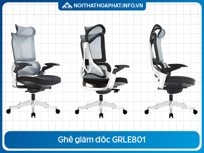 Ghế công thái học cao cấp GRLE801