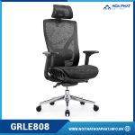 Ghế Ergonomic cao cấp GRLE808