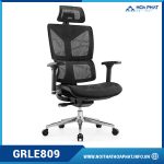 Ghế Ergonomic nhập khẩu GRLE809