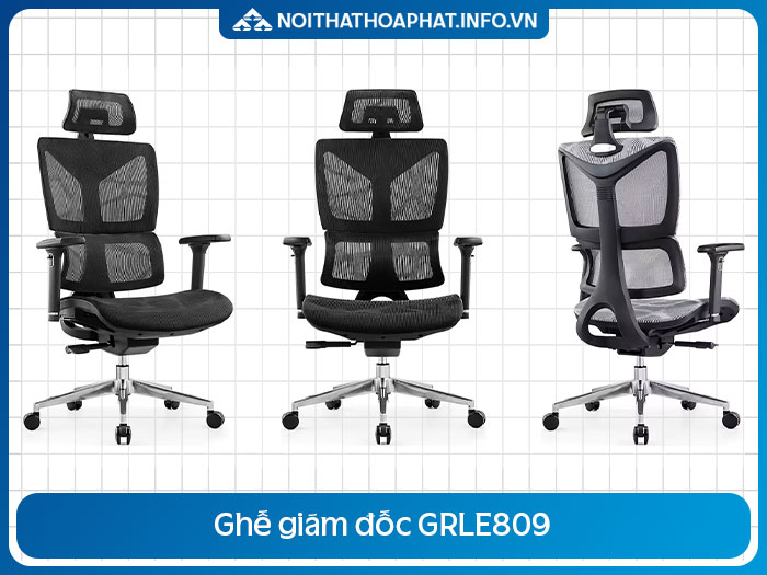 Ghế Ergonomic nhập khẩu GRLE809