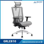 Ghế xoay Ergonomic hiện đại GRLE810