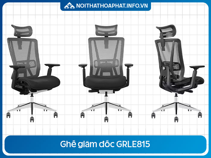 Ghế xoay lưới Ergonomic GRLE815