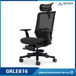 Ghế làm việc Ergonomic GRLE816