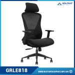 Ghế Ergonomic cao cấp GRLE818