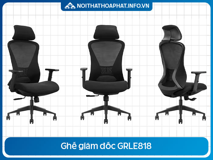 Ghế Ergonomic cao cấp GRLE818