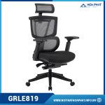 Ghế Ergonomic nhập khẩu GRLE819