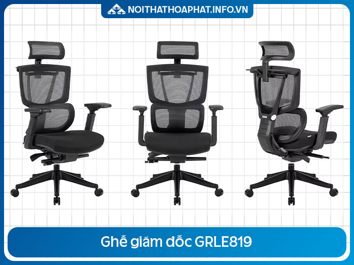 Ghế Ergonomic nhập khẩu GRLE819