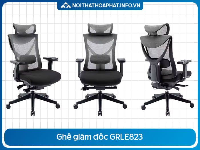 Ghế công thái học hiện đại GRLE823