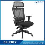 Ghế văn phòng Ergonomic GRLE827