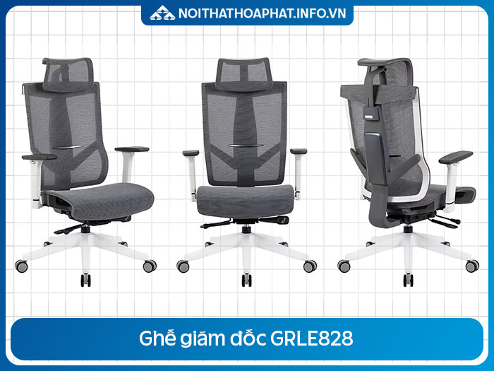 Ghế Ergonomic cao cấp GRLE828