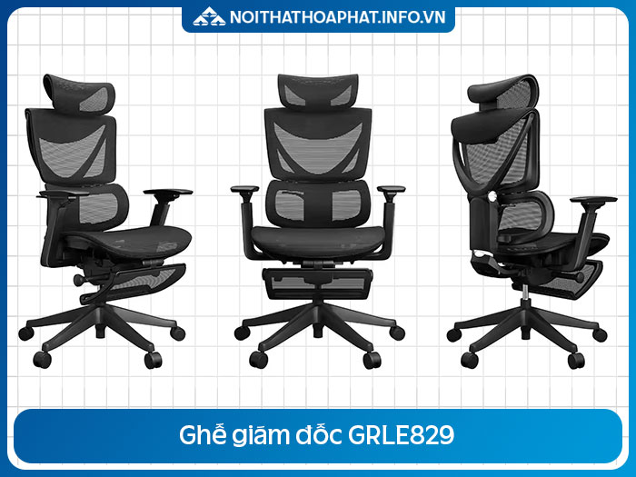 Ghế Ergonomic nhập khẩu GRLE829