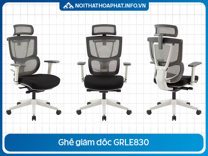 Ghế xoay Ergonomic hiện đại GRLE830