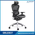 Ghế văn phòng Ergonomic GRLE837