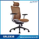 Ghế Ergonomic cao cấp GRLE838