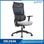 Ghế làm việc Ergonomic GRLE846