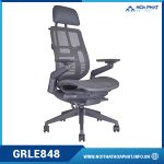 Ghế Ergonomic cao cấp GRLE848