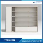 Tủ tài liệu văn phòng TZGYC2220