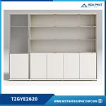 Tủ văn phòng cao cấp TZGYE2620