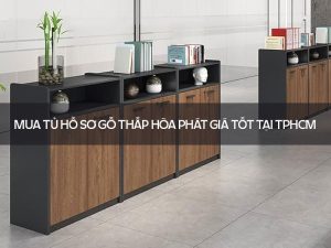 tủ hồ sơ gỗ thấp