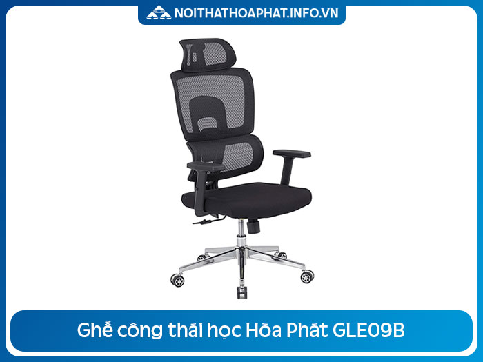 Ghế chống gù lưng văn phòng GLE09B