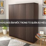 Cách khử mùi ẩm mốc trong tủ quần áo