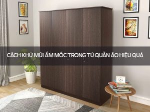 Cách khử mùi ẩm mốc trong tủ quần áo