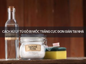 Cách xử lý tủ gỗ bị mốc trắng