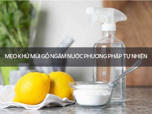 khử mùi gỗ ngâm nước