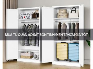 tủ quần áo sắt sơn tĩnh điện TPHCM