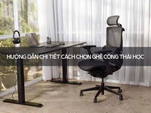 Cách Chọn Ghế Công Thái Học