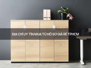 tủ hồ sơ giá rẻ TPHCM