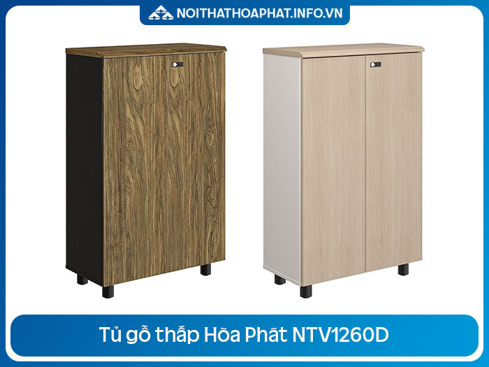 Tủ tài liệu thấp NTV1260D