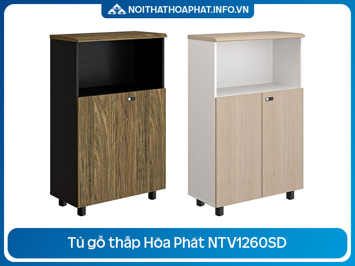 Tủ văn phòng Hòa Phát NTV1260SD