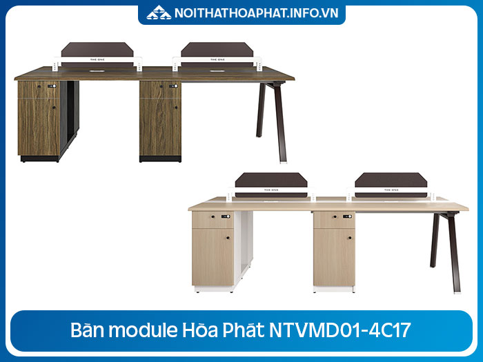 Bàn module 4 người NTVMD01-4C17