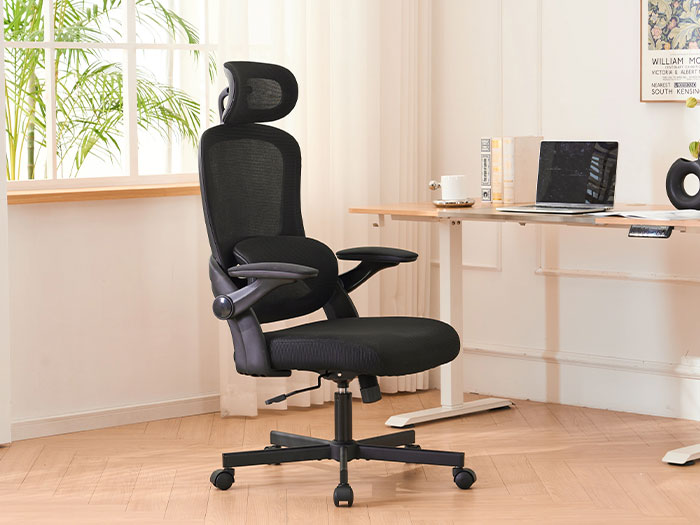 Ghế công thái học hỗ trợ thắt lưng