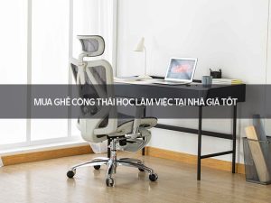 Ghế công thái học làm việc tại nhà