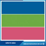 Sơn PU màu