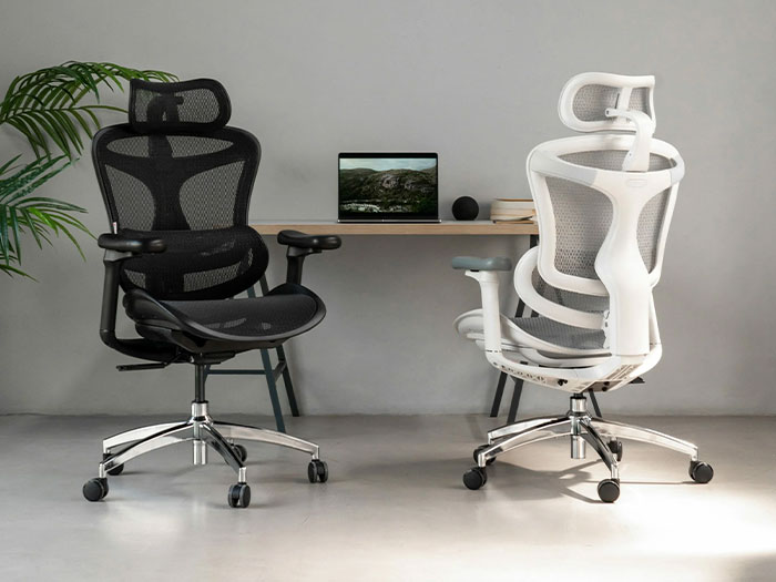 Địa chỉ bán ghế công thái học