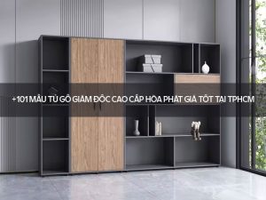 Tủ gỗ giám đốc cao cấp