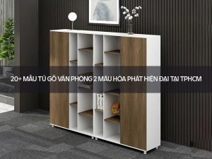 Tủ gỗ văn phòng 2 màu