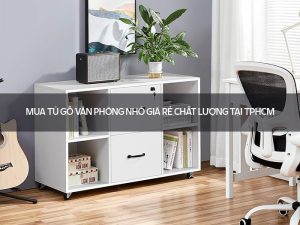 Tủ gỗ văn phòng nhỏ