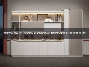 Tủ gỗ văn phòng sang trọng