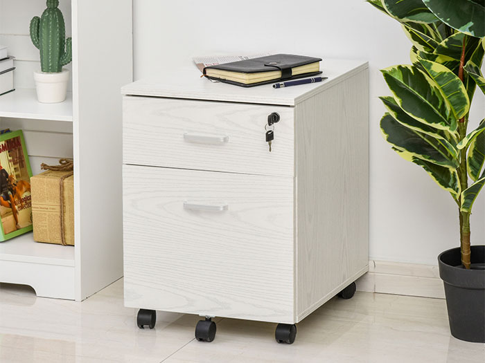Tủ hồ sơ 2 ngăn kéo